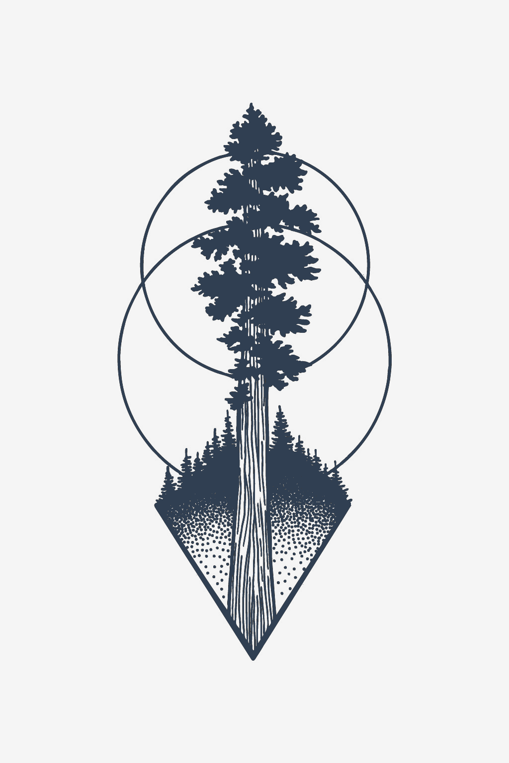 Conifer