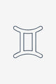 Gemini Sign