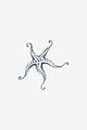 Starfish 2