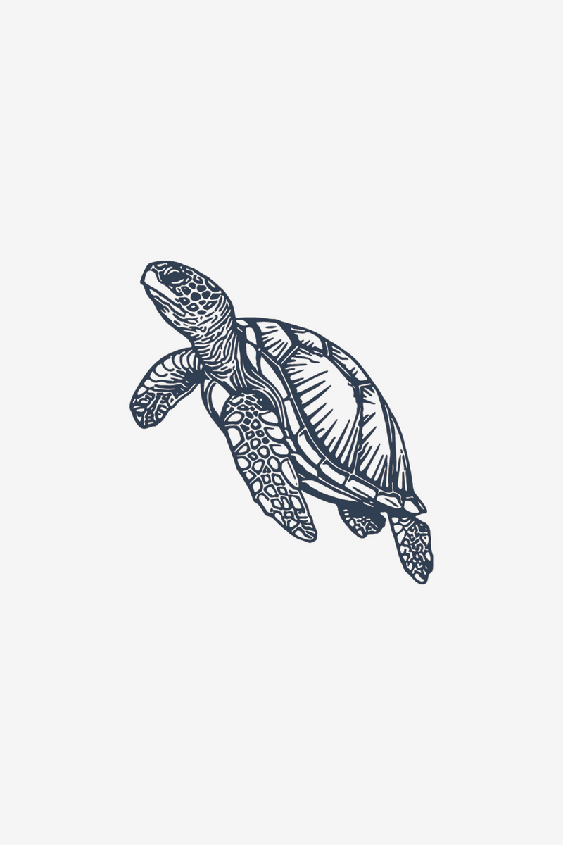 Turtle