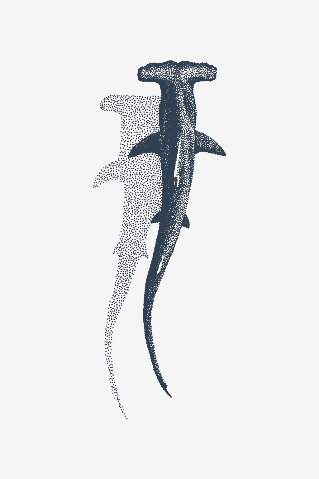 Marine Shadow