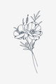 Fragility