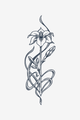 Efflorescence