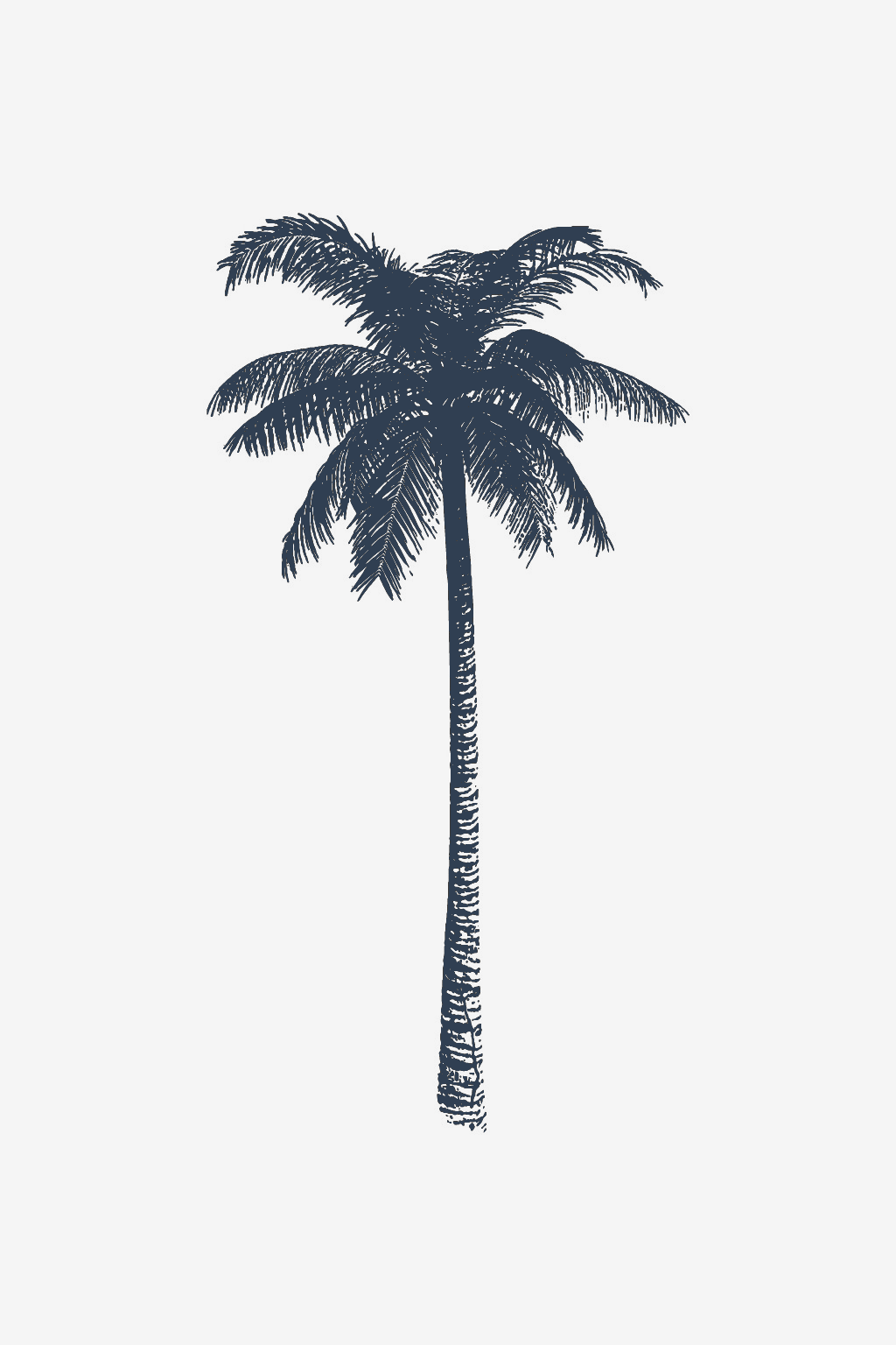 Tropical Paradise