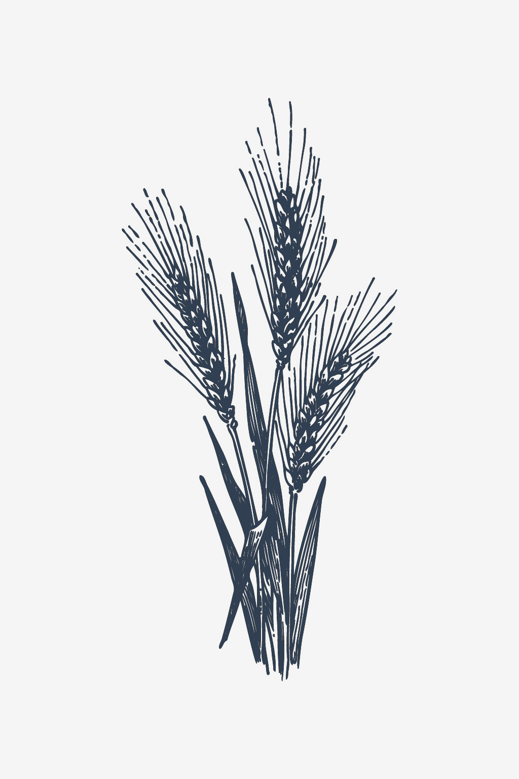 Wheat Stalks