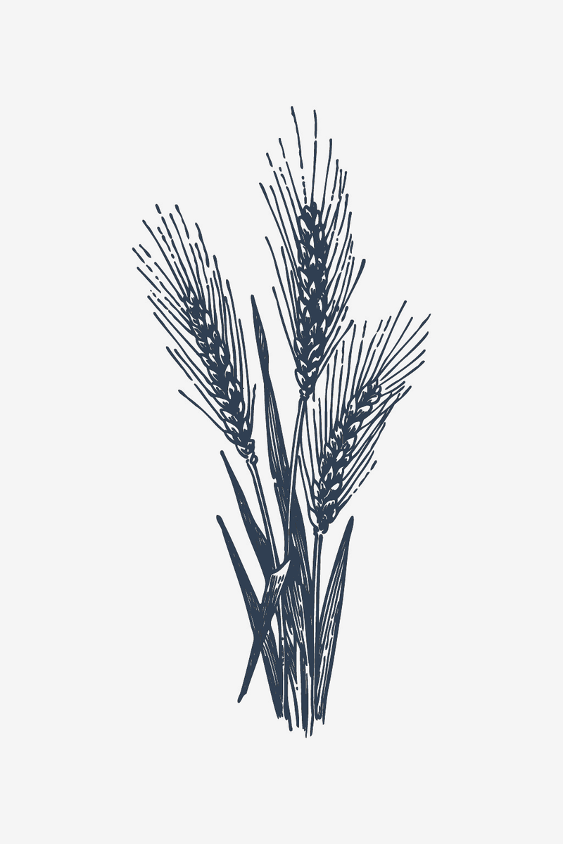 Wheat Stalks