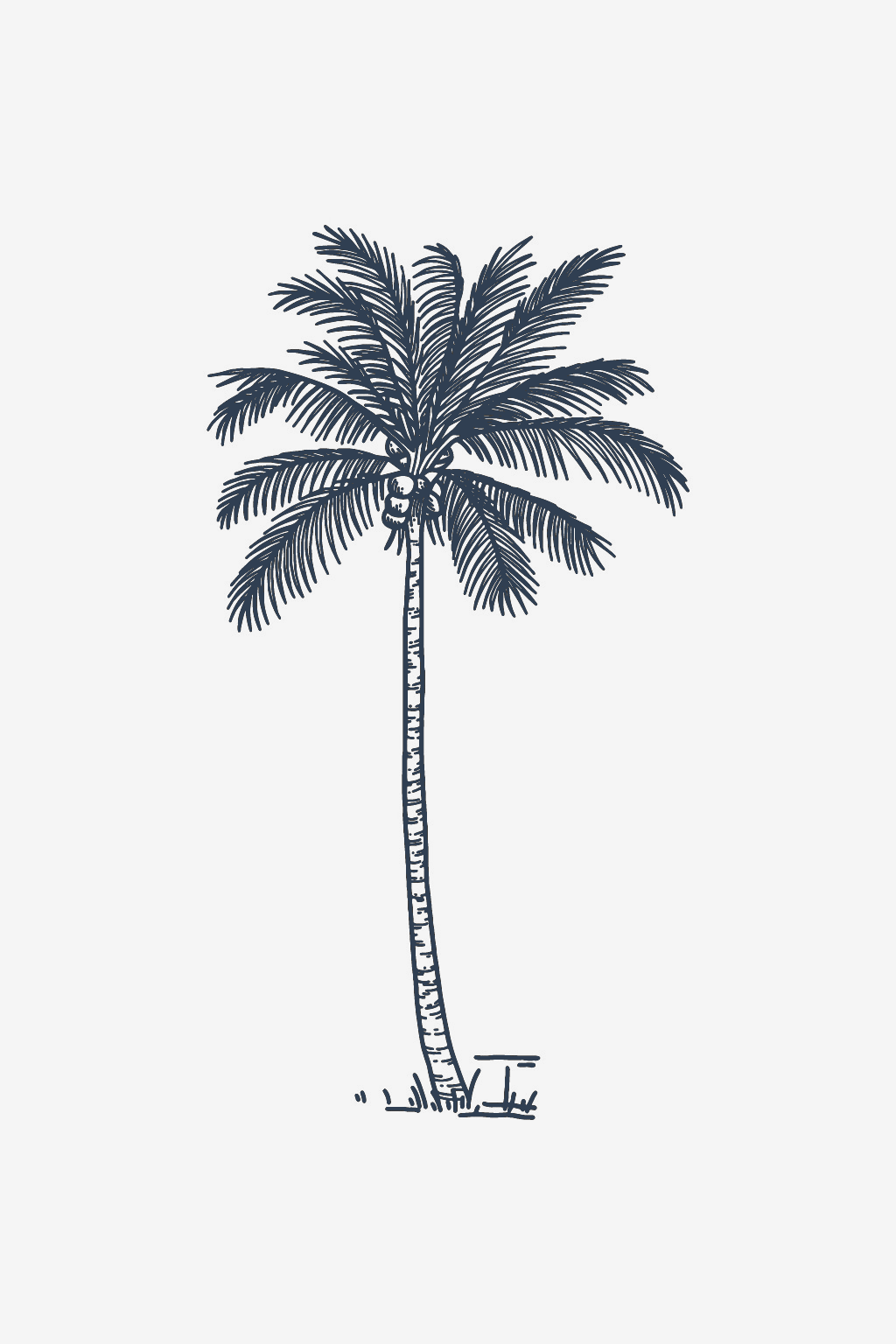 Coconut Palm