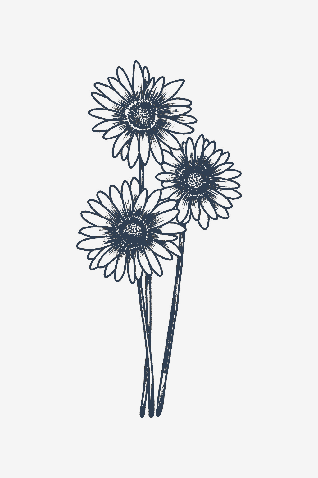 Daisies