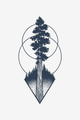 Conifer