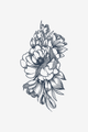 Peony
