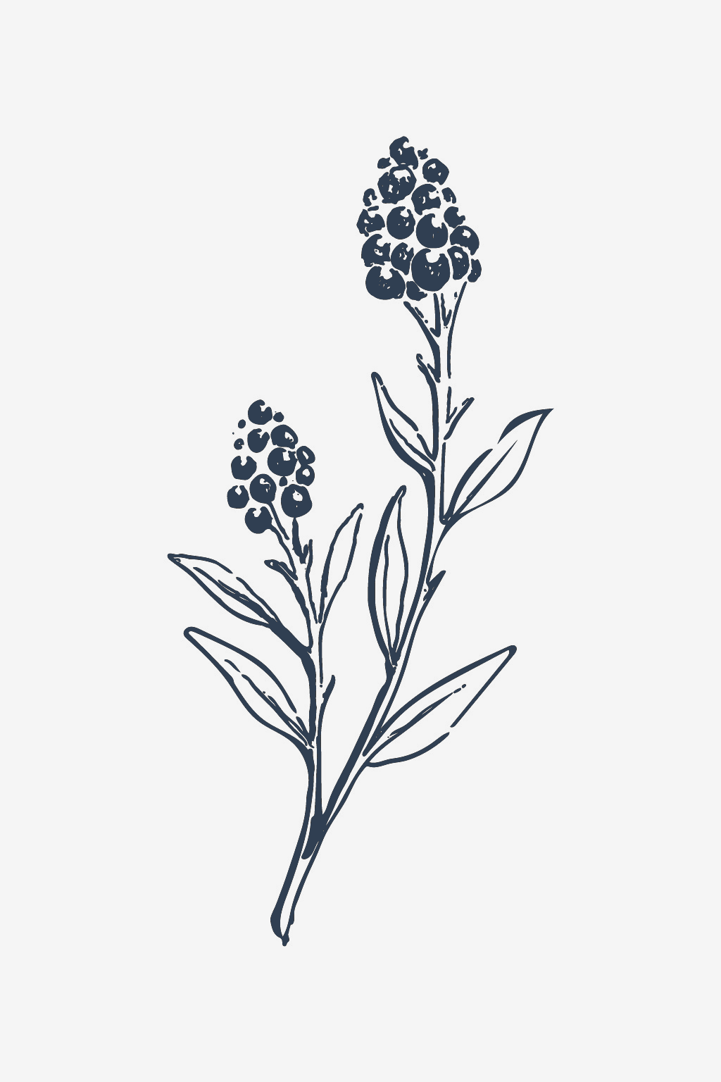 Wildflowers