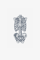 Anatomy