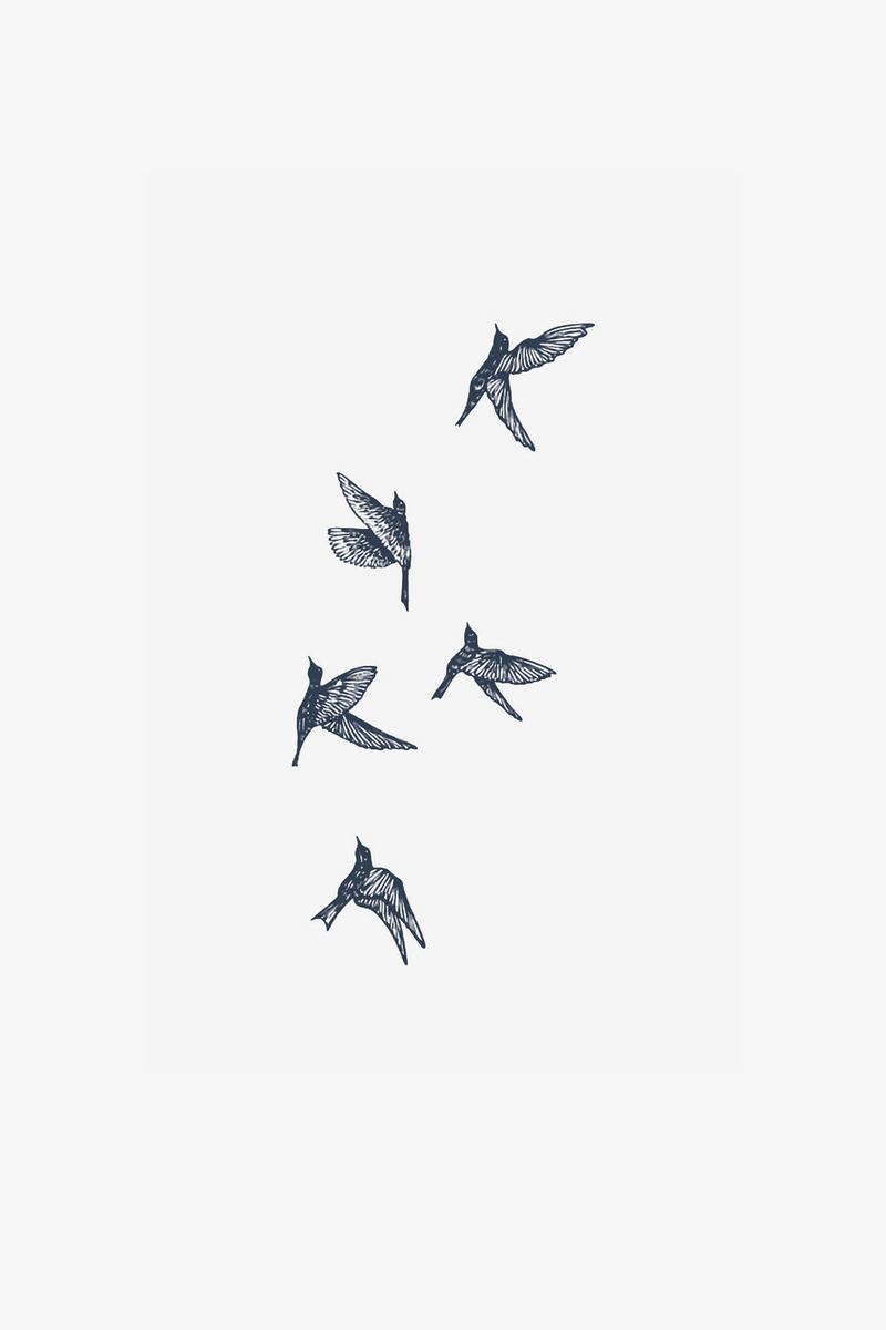 Birds