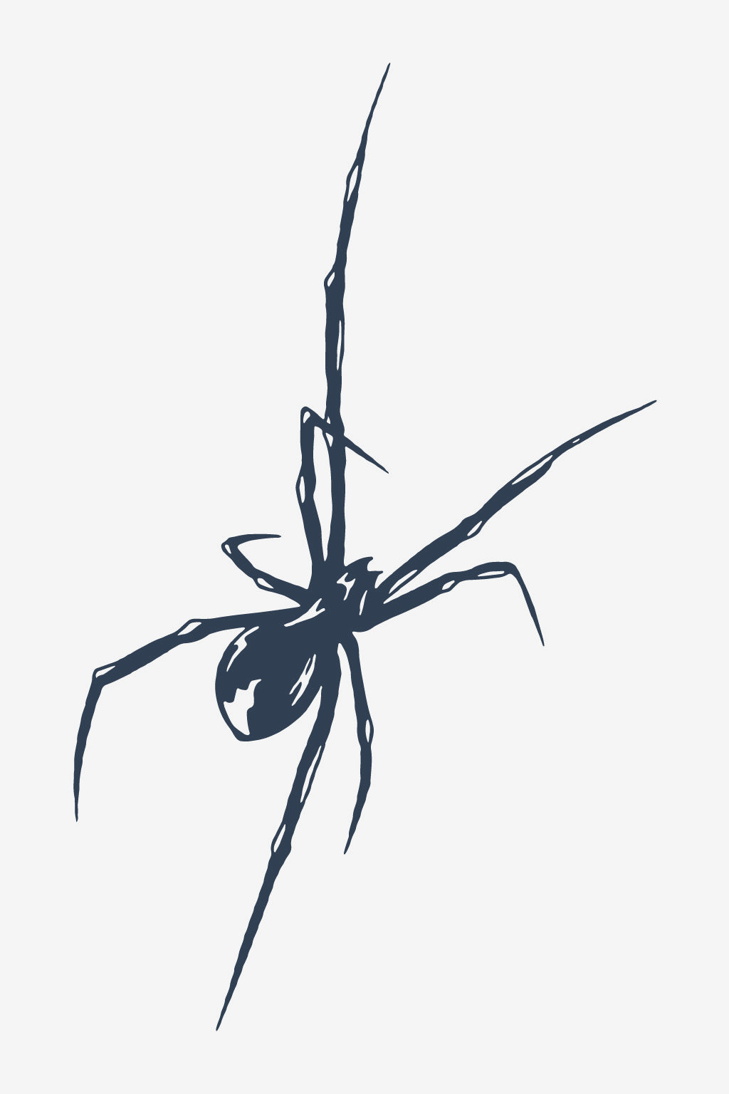 Arachne