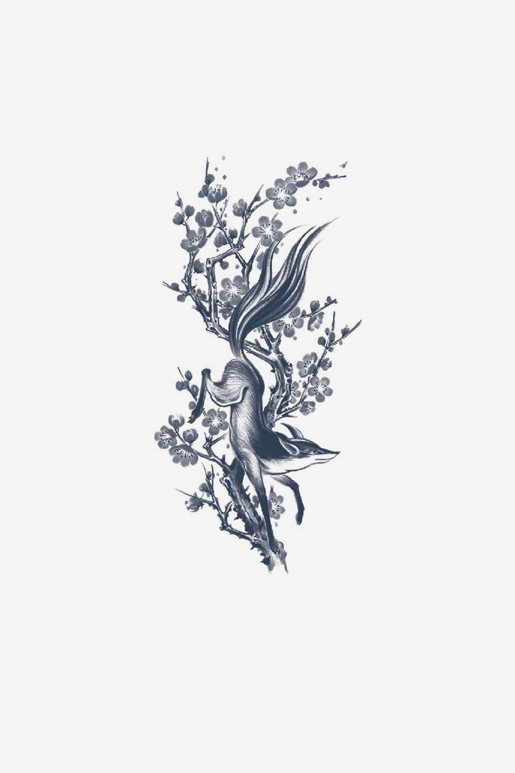 Little Fox