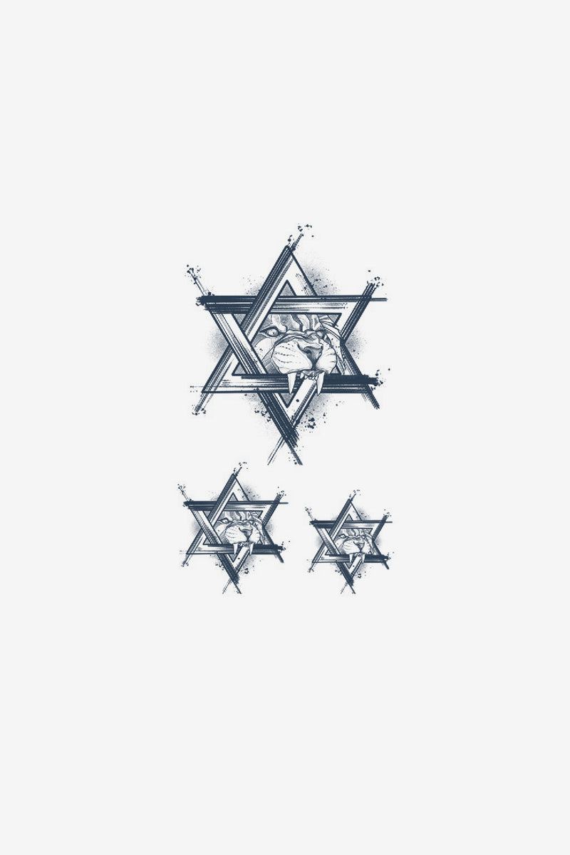Lion Star