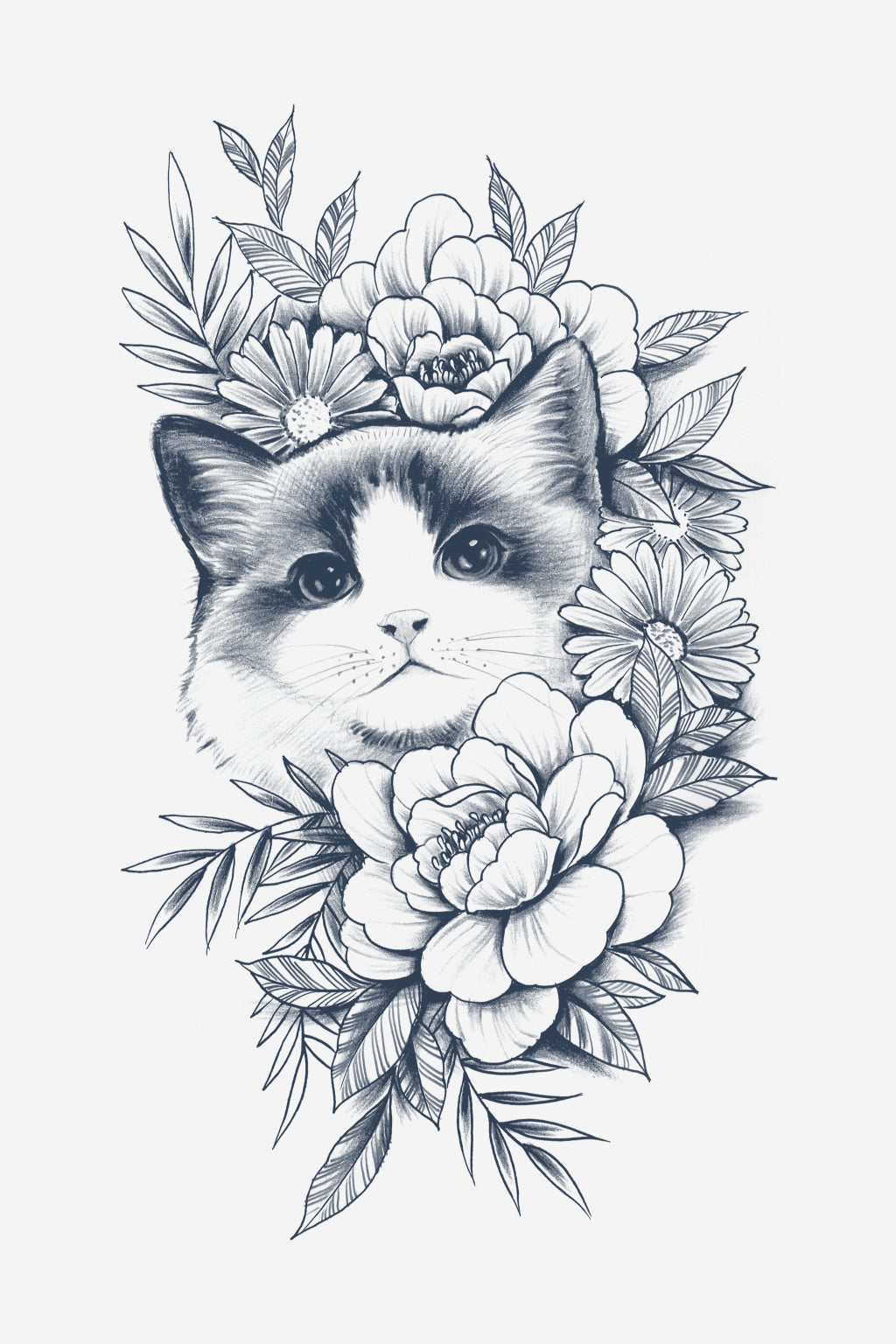 Purrfection
