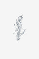 Astral Petals