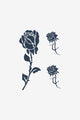 Nocturnal Roses