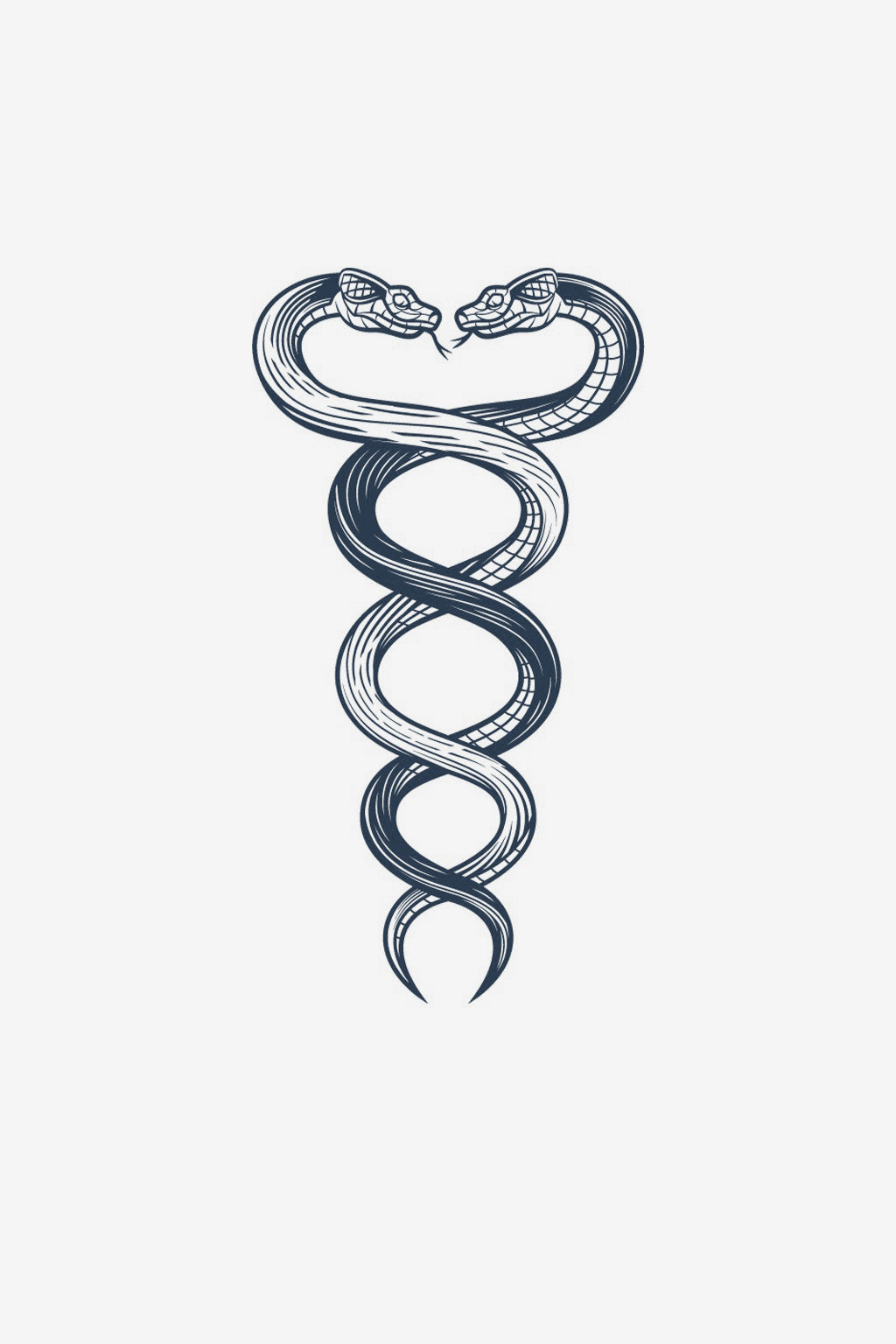 Snakes