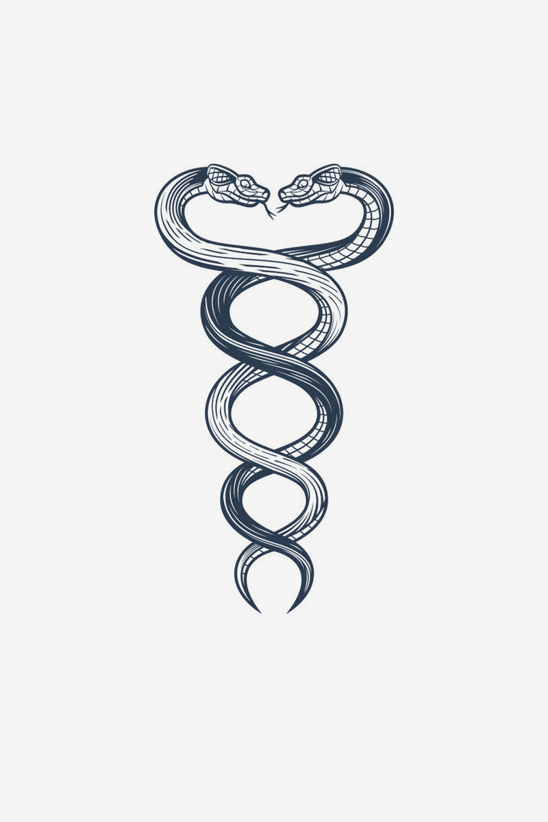 Snakes
