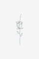 Thread of Life