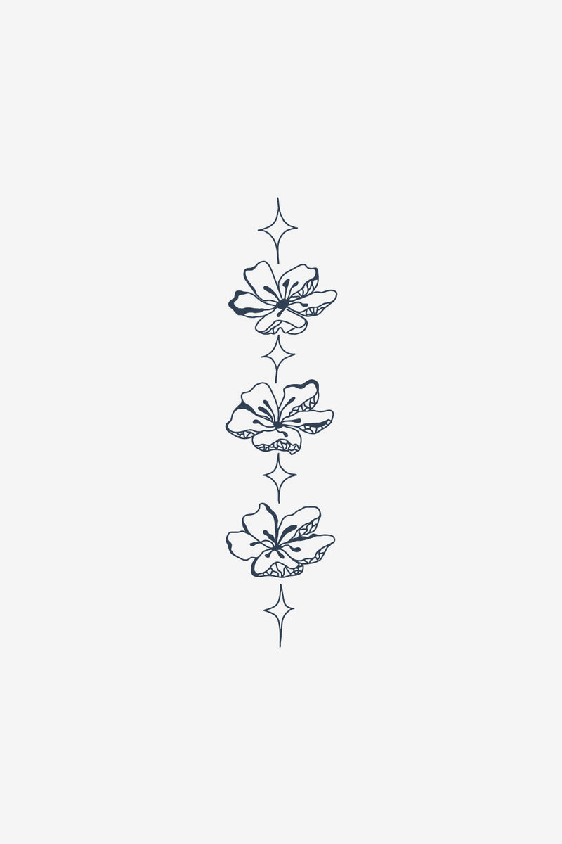 Constellation
