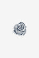 Flower of Success