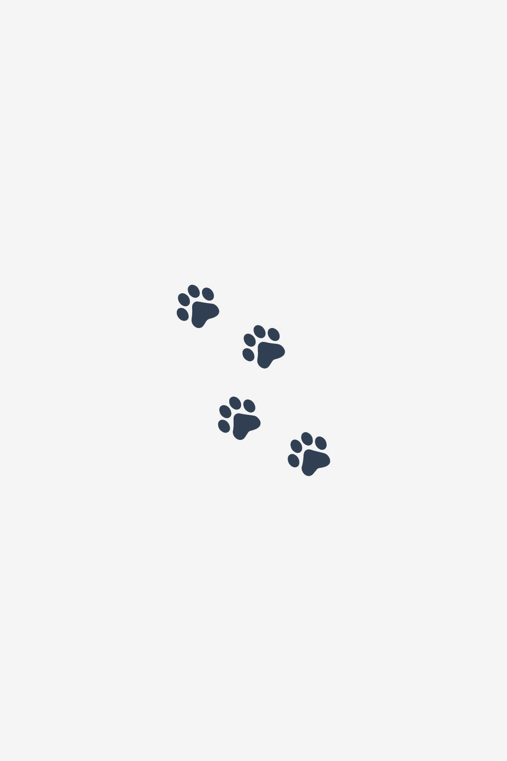 Paw Prints