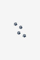 Paw Prints