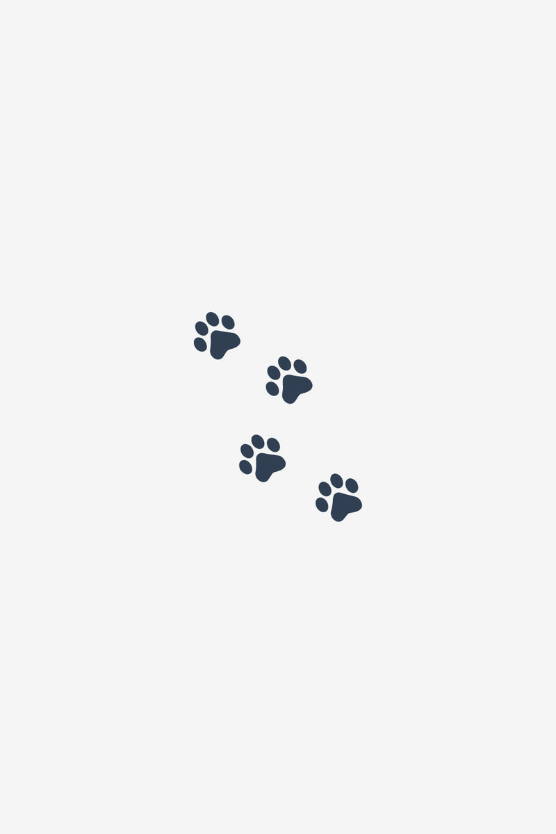 Paw Prints