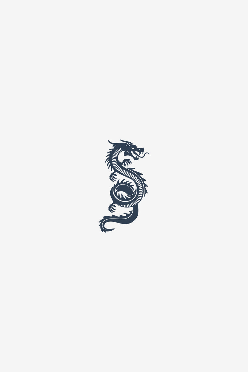 Stylized Oriental Dragon