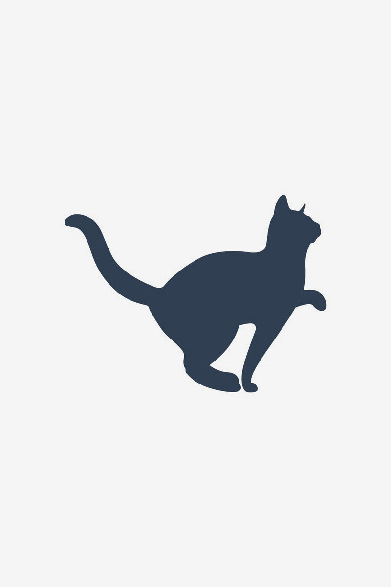 Cat 2