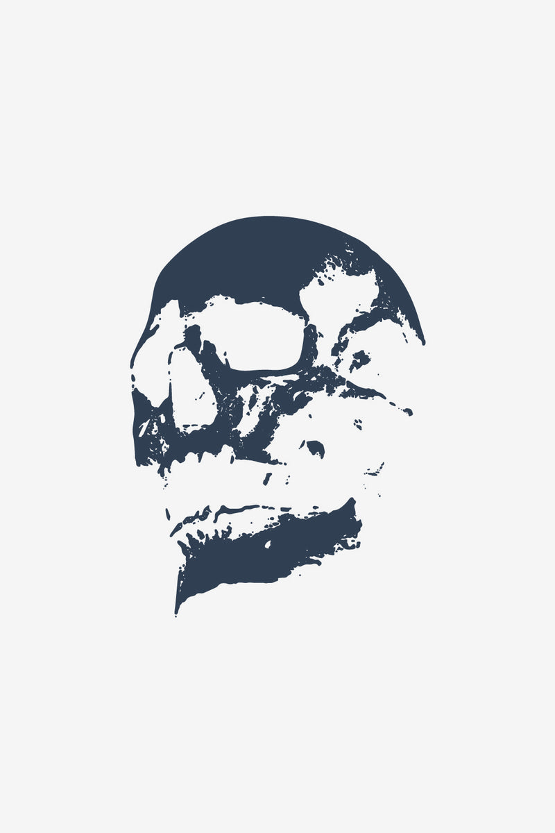 Abstract Skull